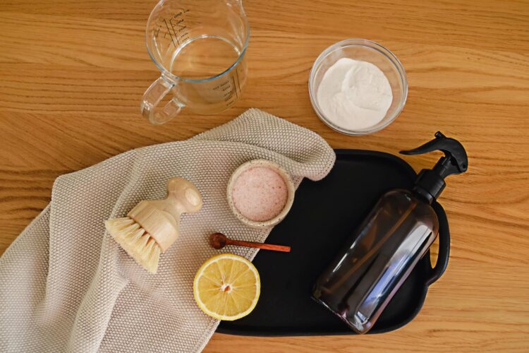 How to Kill Ants with Homemade Repellent